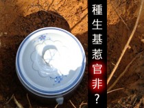 時事新聞：誤信種生基、巫術？